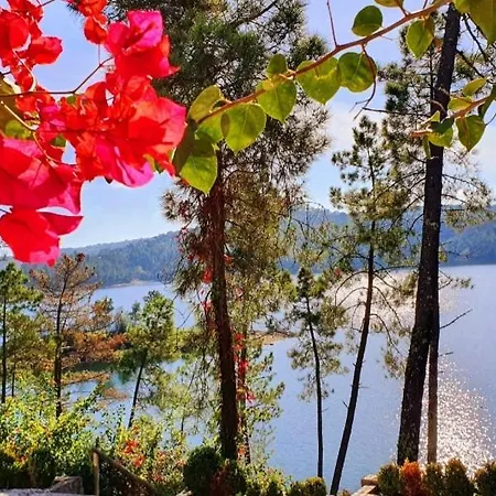 Wakevilla & Wakeschool Tatil Evi Tomar